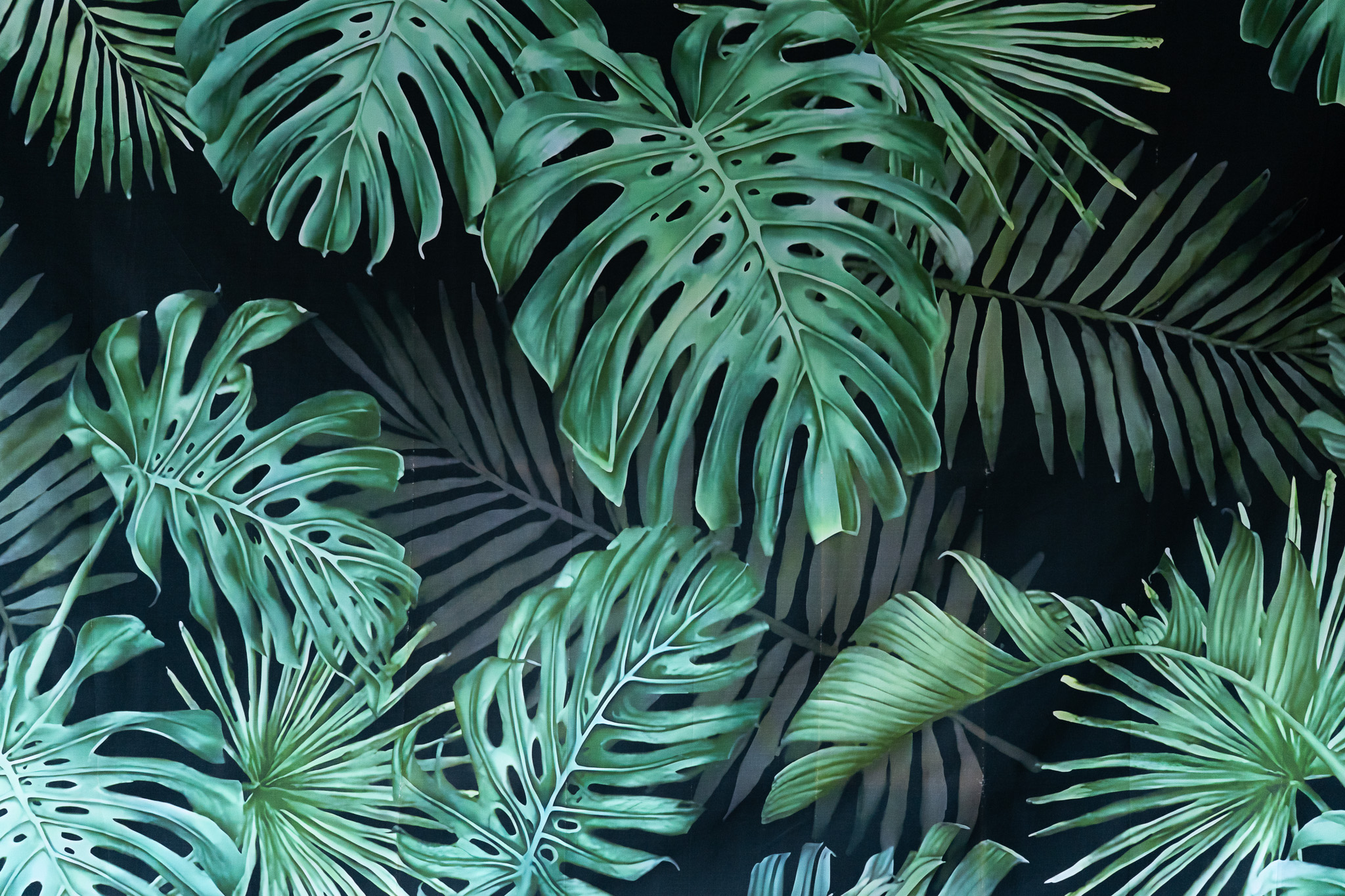 Hintergrundleinwand_Dschungel