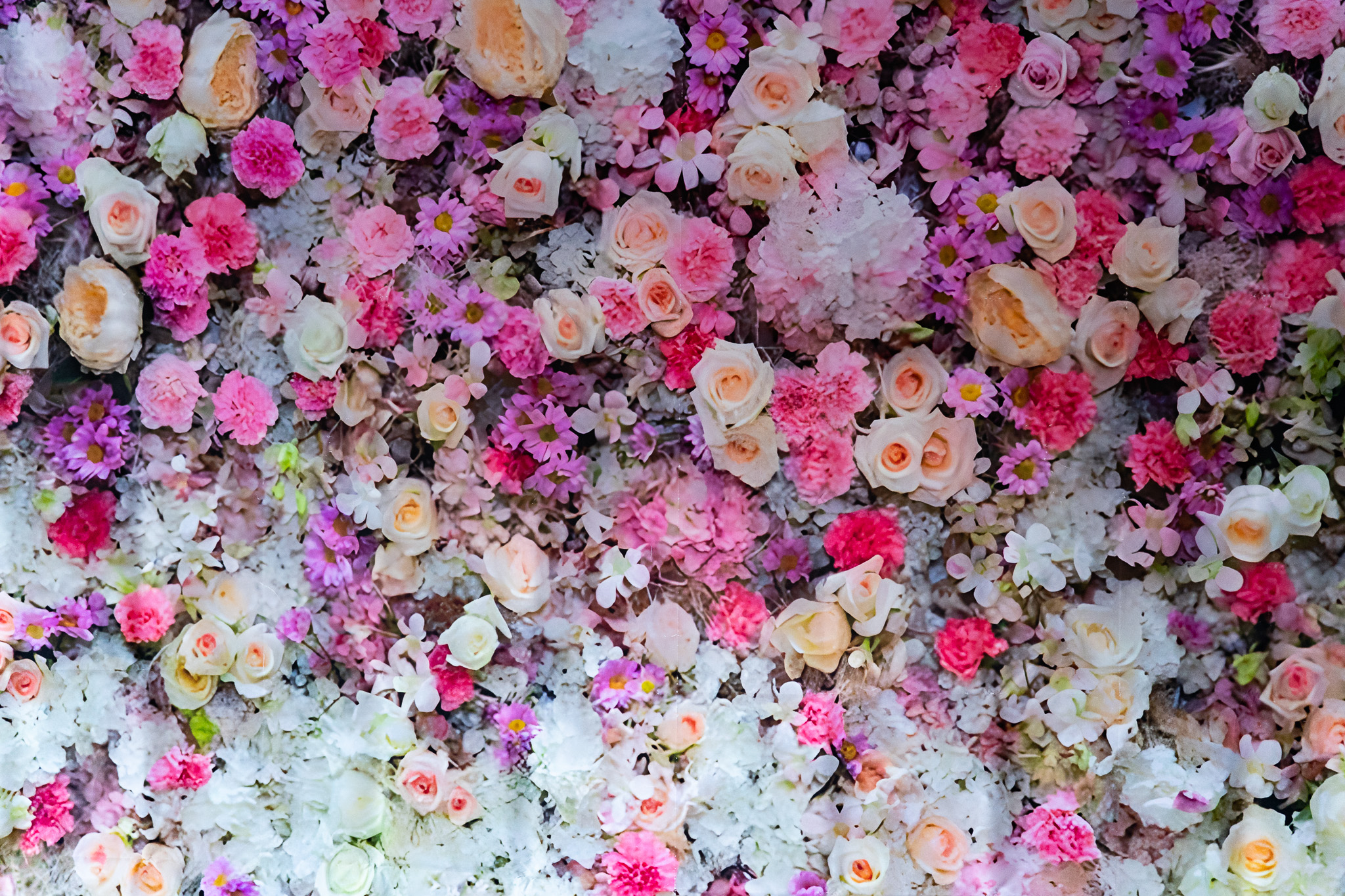 Hintergrundleinwand_Blumen