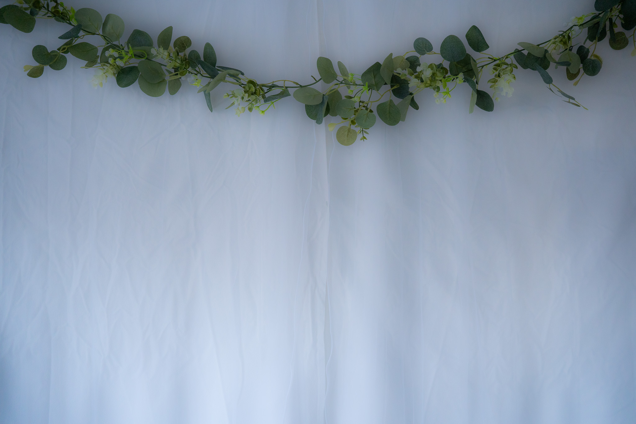 Hintegrundleinwand_weiß-Eukalyptus